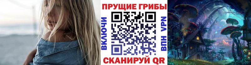 Галлюциногенные грибы MAGIC MUSHROOMS  продажа наркотиков  Мценск 